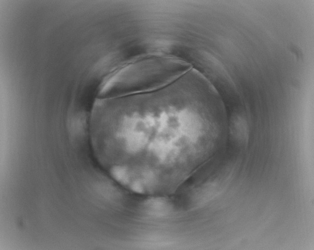 X0000115320280200911231357