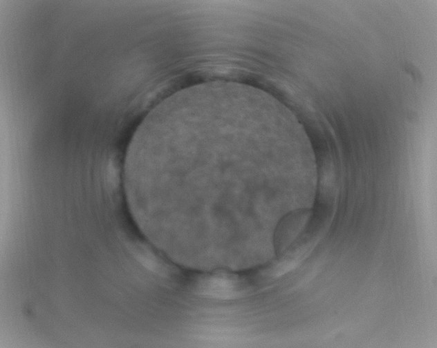 X0000115320282200911231357