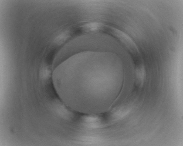 X0000115320284200911231357