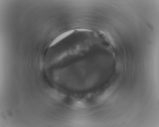 X0000115320285200911231357