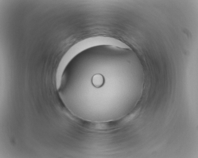 X0000115320288200911231357