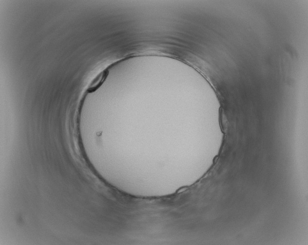 X0000115320289200911231356