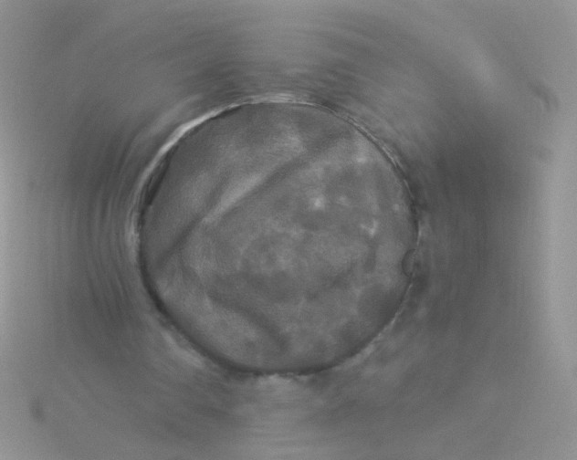 X0000115320290200911231356