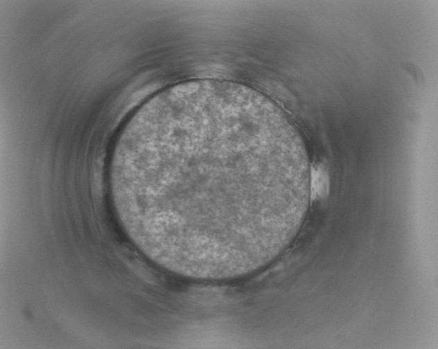 X0000115320291200911231356