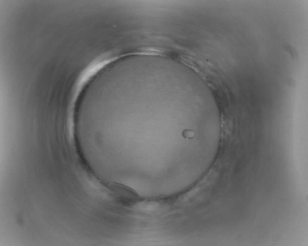 X0000115320294200911231356