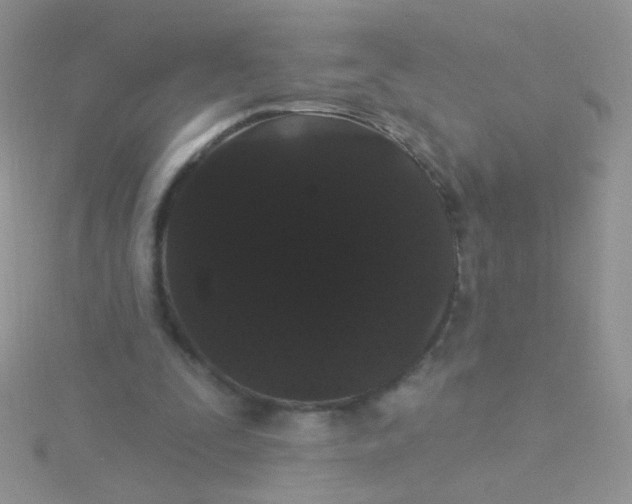 X0000115320295200911231356