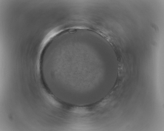 X0000115320296200911231356