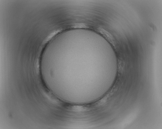 X0000115320298200911231356