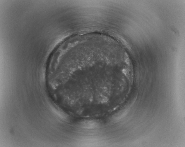 X0000115320299200911231356