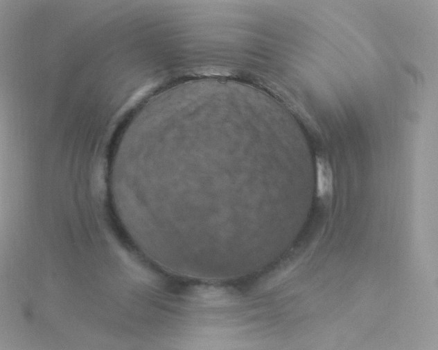 X0000115320300200911231356