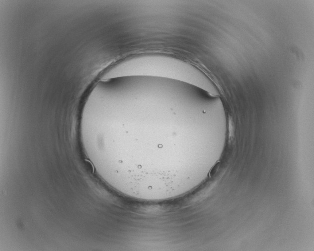 X0000115320301200911231356