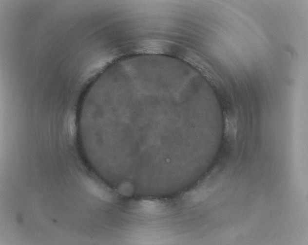 X0000115320302200911231356