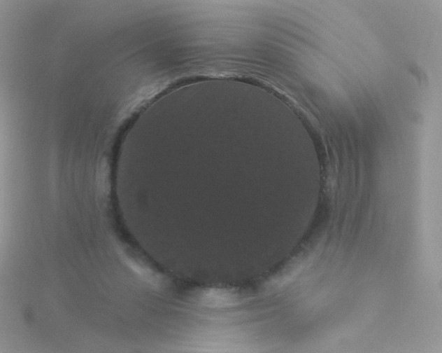 X0000115320303200911231356