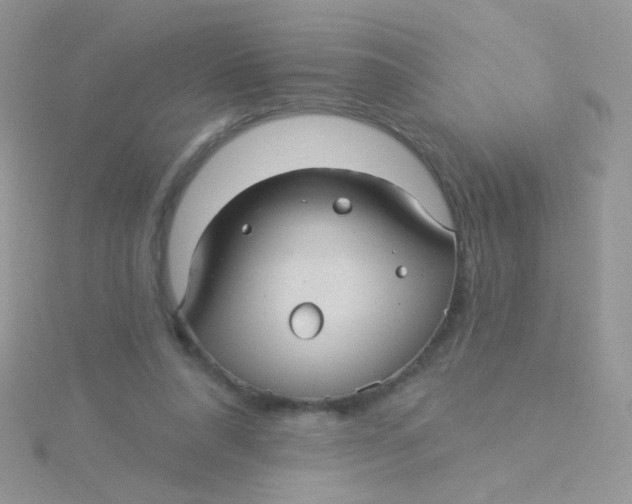 X0000115320304200911231356