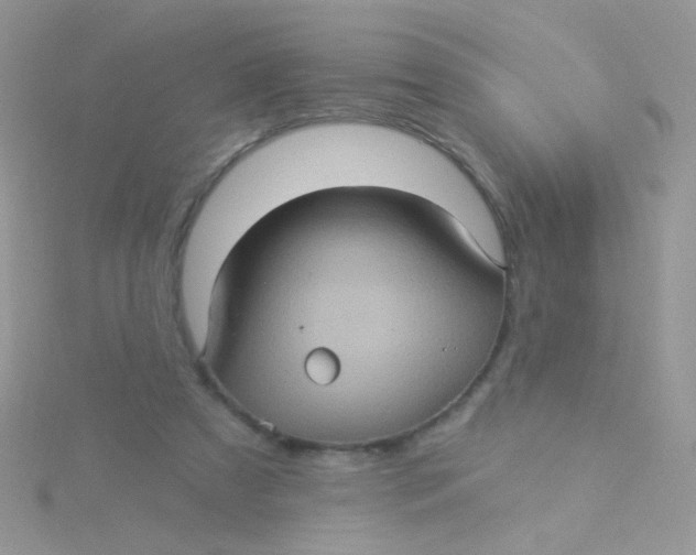 X0000115320305200911231356