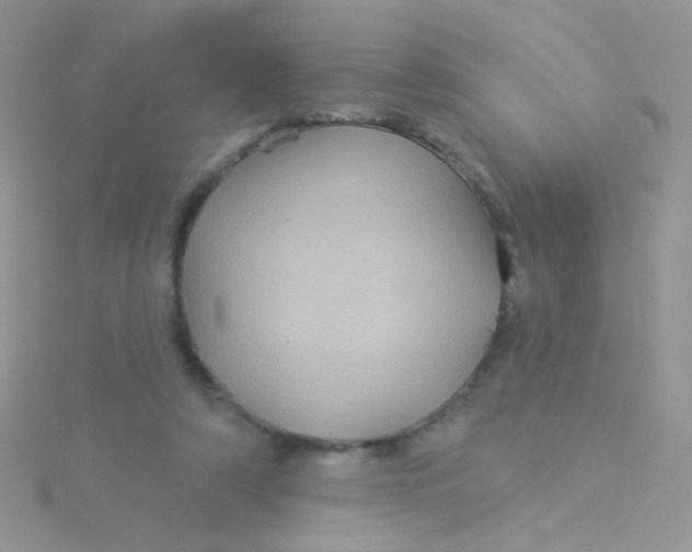 X0000115320306200911231356