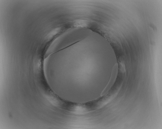 X0000115320308200911231356