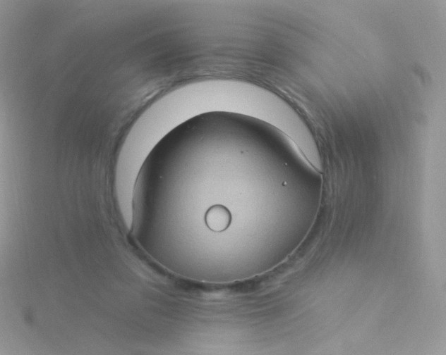 X0000115320309200911231356