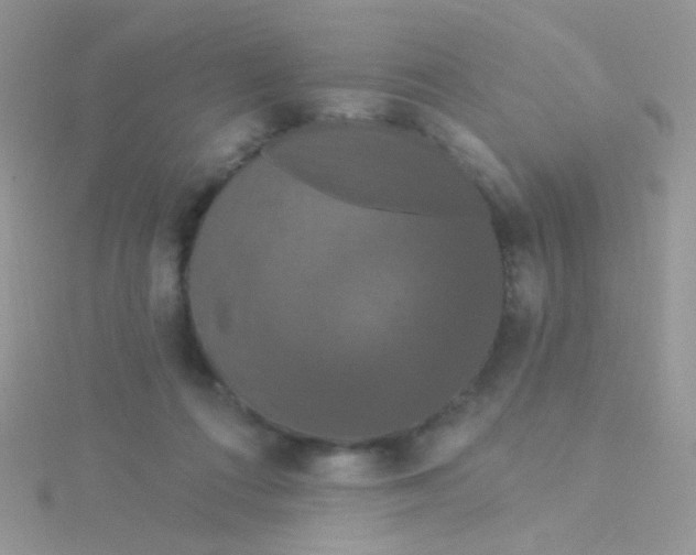 X0000115320312200911231356