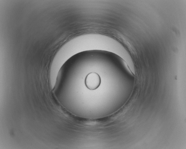 X0000115320313200911231356