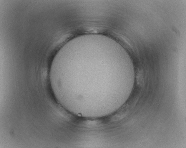 X0000115320314200911231356