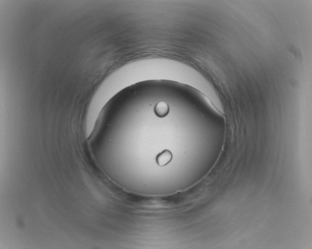 X0000115320316200911231356