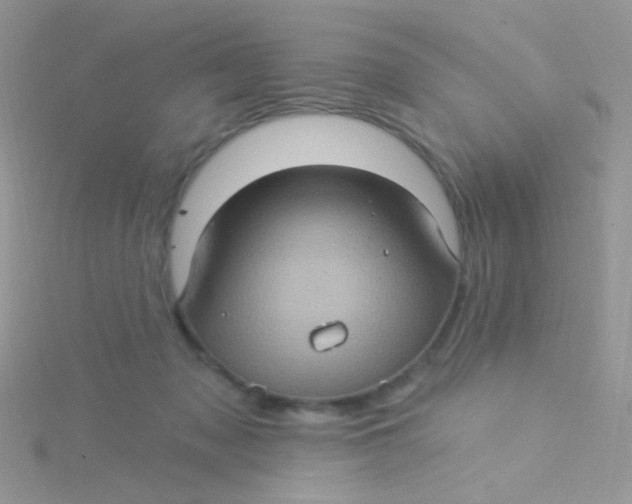 X0000115320317200911231356