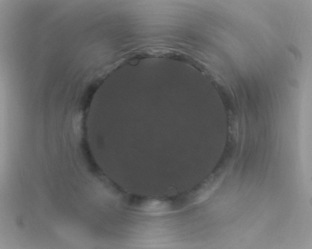 X0000115320319200911231356