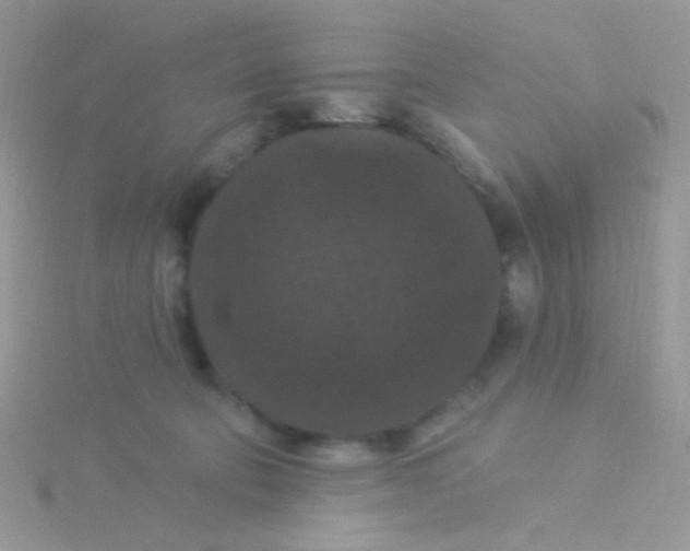 X0000115320322200911231356