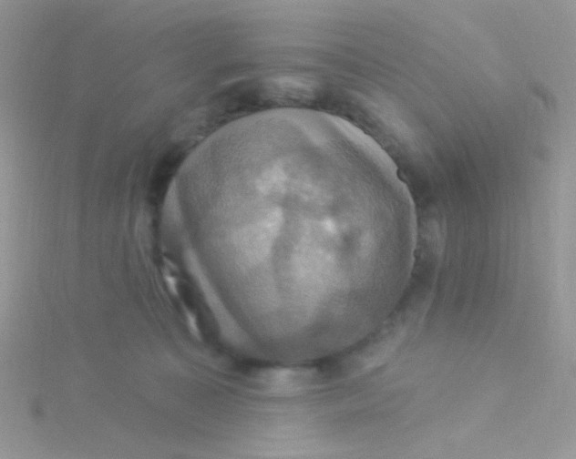 X0000115320323200911231356