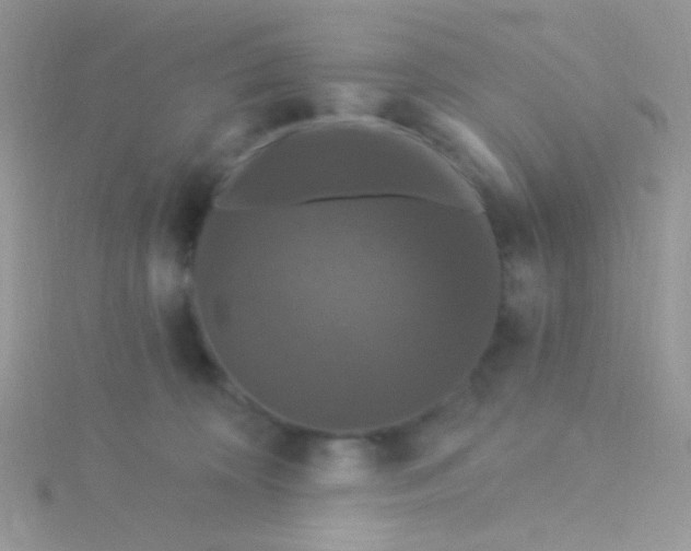 X0000115320324200911231356