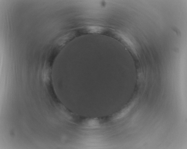 X0000115320325200911231356