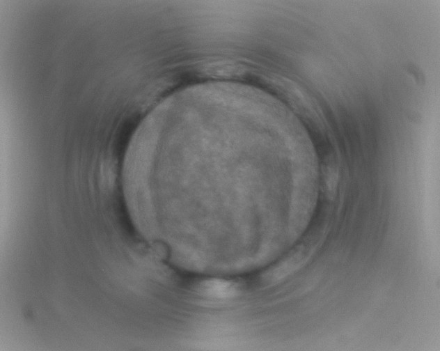 X0000115320326200911231356