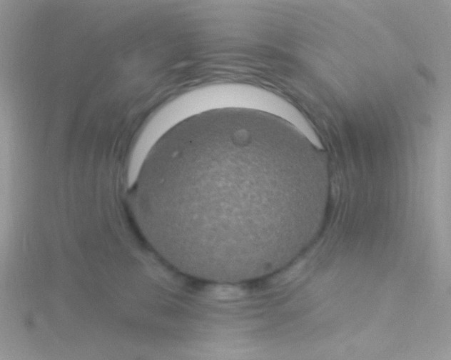 X0000115320327200911231356