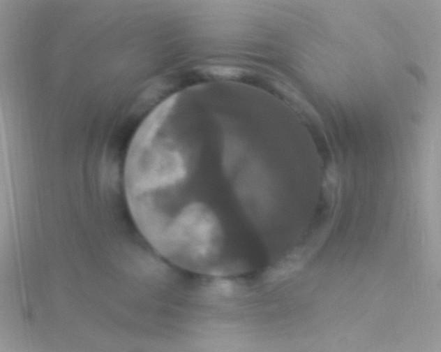 X0000115320330200911231356