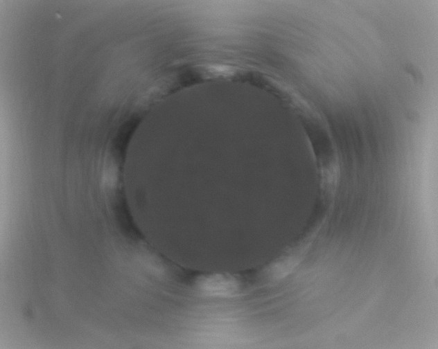 X0000115320331200911231356