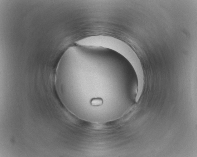 X0000115320333200911231356