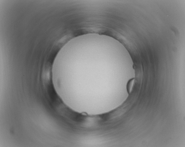 X0000115320334200911231356