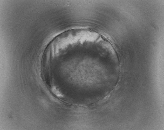 X0000115320337200911231355