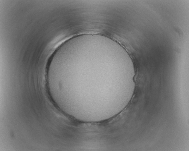 X0000115320338200911231355