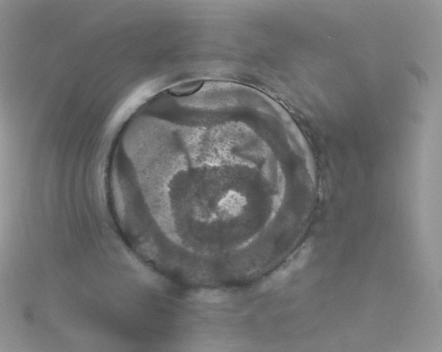 X0000115320341200911231355