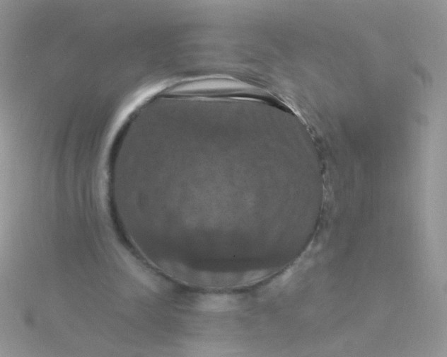 X0000115320342200911231355