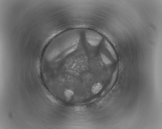 X0000115320345200911231355