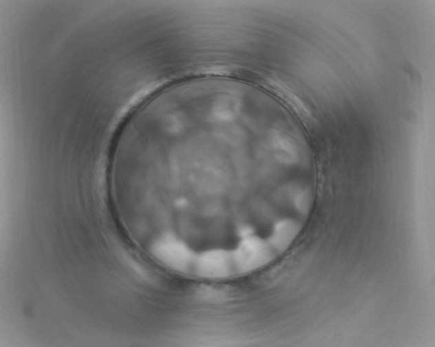 X0000115320346200911231355