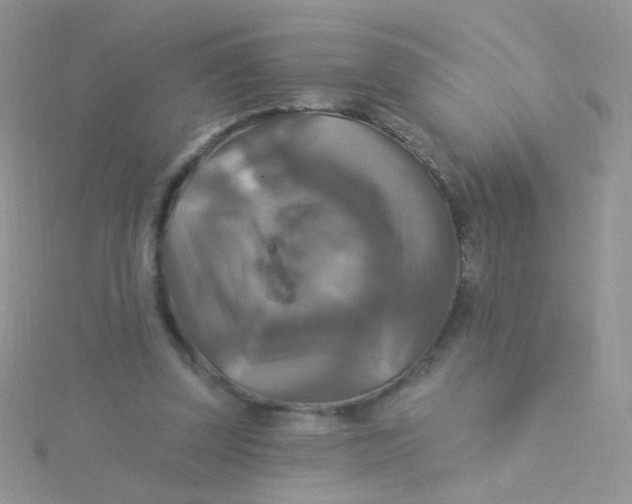 X0000115320347200911231355