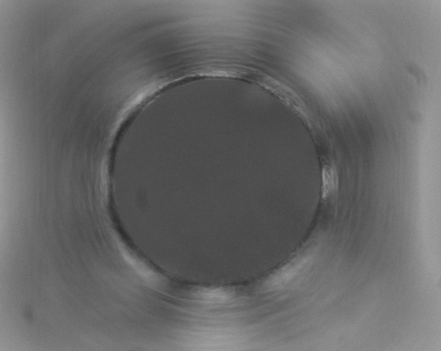 X0000115320349200911231355