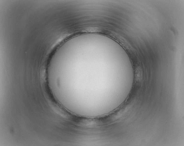 X0000115320351200911231355