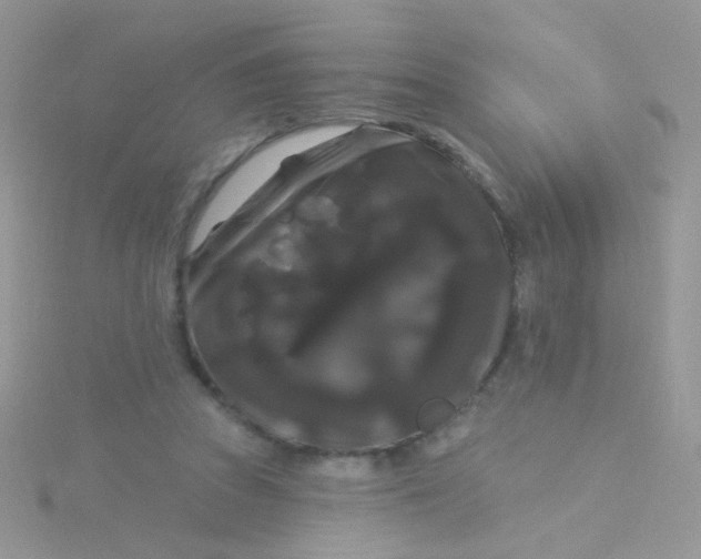 X0000115320353200911231355