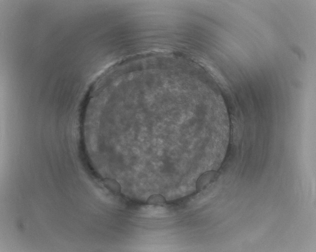 X0000115320354200911231355