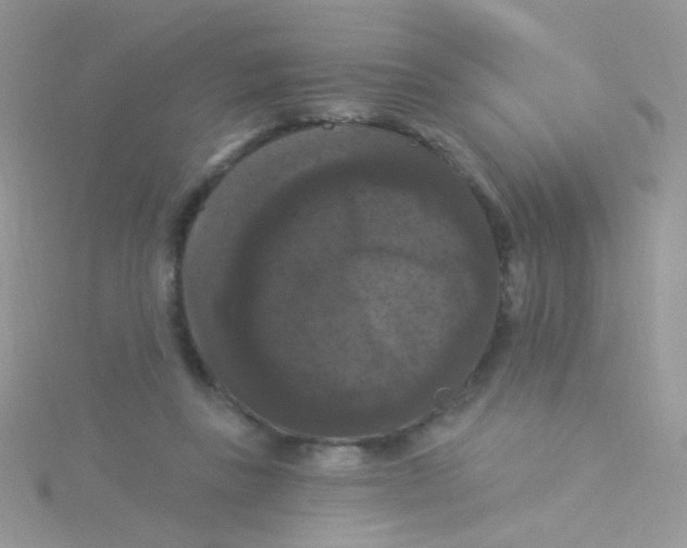 X0000115320355200911231355